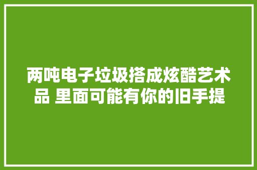 两吨电子垃圾搭成炫酷艺术品 里面可能有你的旧手提