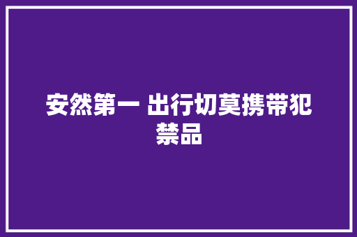 安然第一 出行切莫携带犯禁品,乘客气囊指示灯亮是什么意思。