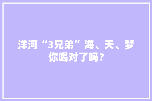 洋河“3兄弟”海、天、梦你喝对了吗？