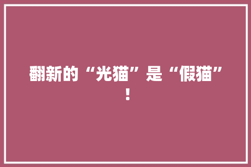 翻新的“光猫”是“假猫”！