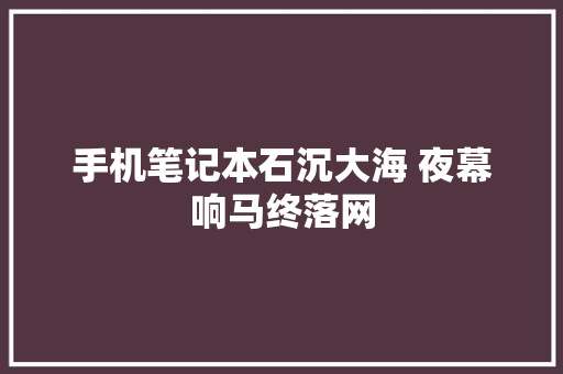 手机笔记本石沉大海 夜幕响马终落网