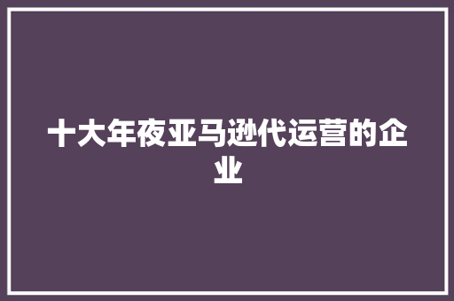 十大年夜亚马逊代运营的企业
