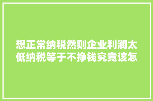 想正常纳税然则企业利润太低纳税等于不挣钱究竟该怎么办？