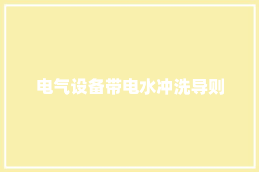电气设备带电水冲洗导则