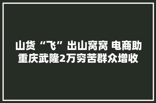 山货“飞”出山窝窝 电商助重庆武隆2万穷苦群众增收