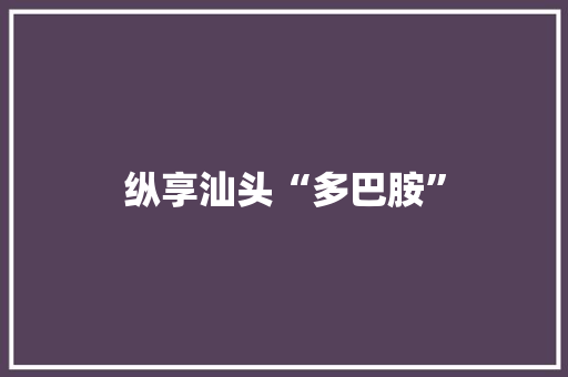 纵享汕头“多巴胺”