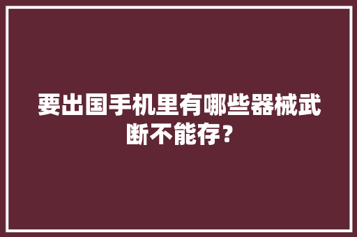 要出国手机里有哪些器械武断不能存？