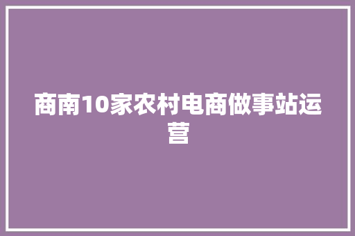 商南10家农村电商做事站运营