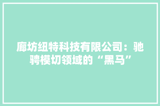 廊坊纽特科技有限公司：驰骋模切领域的“黑马”