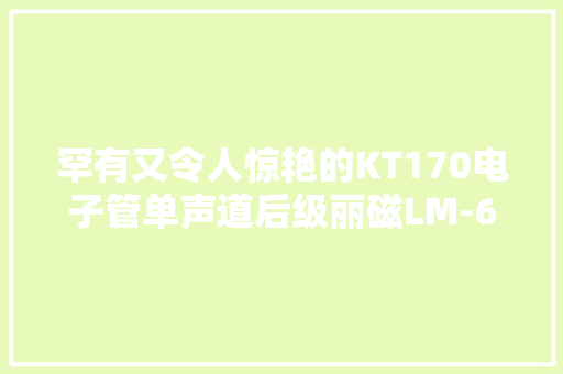 罕有又令人惊艳的KT170电子管单声道后级丽磁LM-603PA