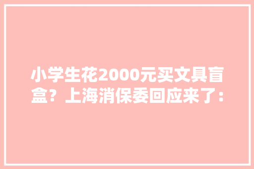 小学生花2000元买文具盲盒？上海消保委回应来了：建议限售