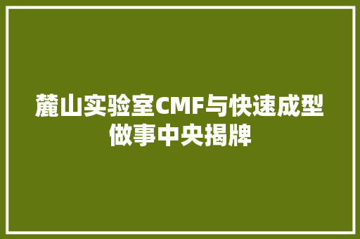 麓山实验室CMF与快速成型做事中央揭牌,做事后胸口疼是怎么回事。