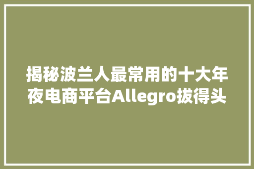 揭秘波兰人最常用的十大年夜电商平台Allegro拔得头筹