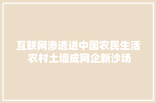 互联网渗透进中国农民生活 农村土墙成网企新沙场