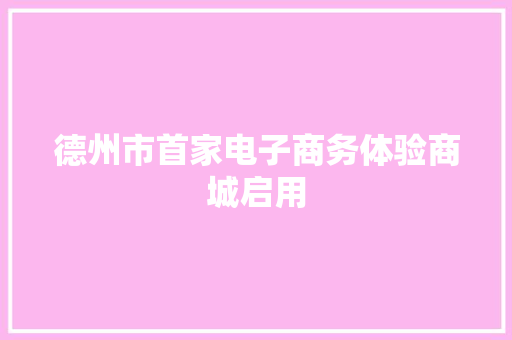 德州市首家电子商务体验商城启用