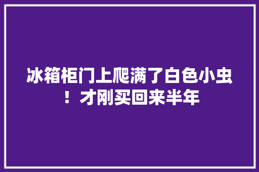 冰箱柜门上爬满了白色小虫！才刚买回来半年,冰箱调节温度1234567调哪个最冷。