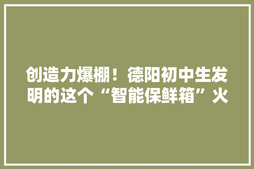 创造力爆棚！德阳初中生发明的这个“智能保鲜箱”火了,大多数溴化锂吸收式制冷机组的吸收器。