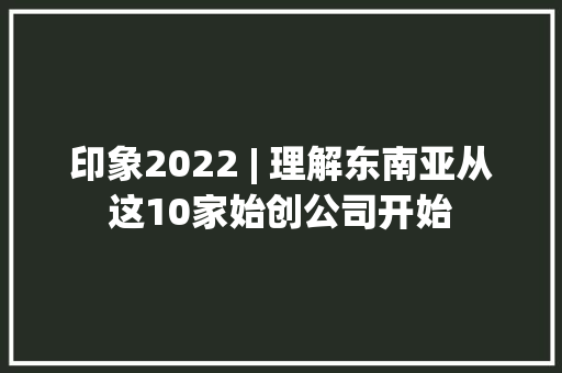 印象2022 | 理解东南亚从这10家始创公司开始