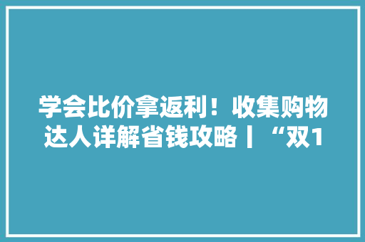 学会比价拿返利！收集购物达人详解省钱攻略丨“双11”揭秘薅羊毛族之弄法篇