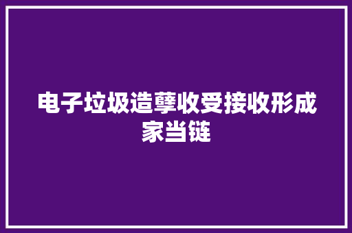 电子垃圾造孽收受接收形成家当链
