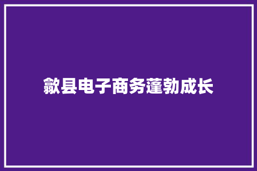 歙县电子商务蓬勃成长