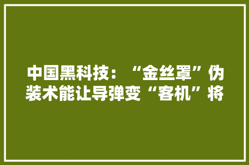 中国黑科技：“金丝罩”伪装术能让导弹变“客机”将颠覆战法