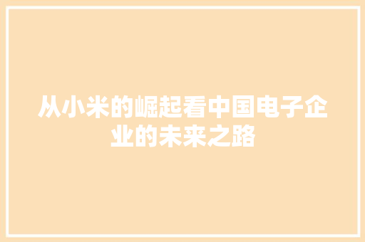 从小米的崛起看中国电子企业的未来之路