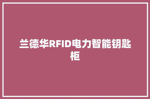 兰德华RFID电力智能钥匙柜