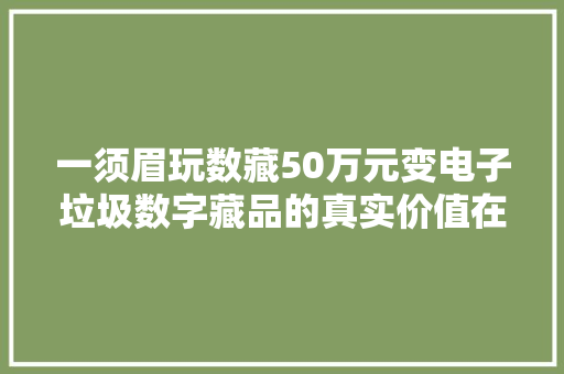 一须眉玩数藏50万元变电子垃圾数字藏品的真实价值在哪呢？