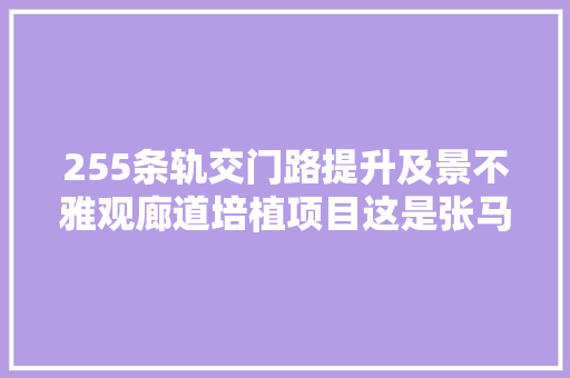 255条轨交门路提升及景不雅观廊道培植项目这是张马屯片区的白泉廊道