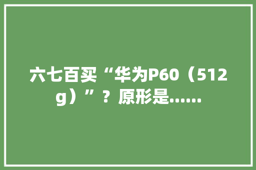 六七百买“华为P60（512g）”？原形是......