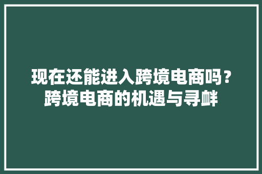 现在还能进入跨境电商吗？跨境电商的机遇与寻衅,电商是做什么的。