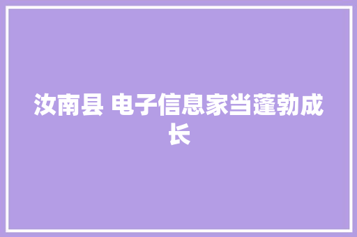 汝南县 电子信息家当蓬勃成长