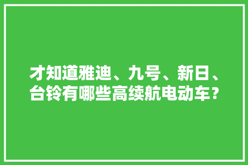 才知道雅迪、九号、新日、台铃有哪些高续航电动车？续航若干？,续航是什么意思。