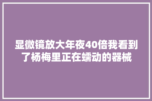 显微镜放大年夜40倍我看到了杨梅里正在蠕动的器械