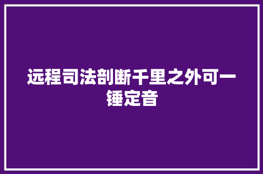远程司法剖断千里之外可一锤定音