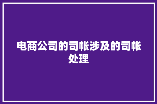 电商公司的司帐涉及的司帐处理