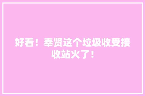 好看！奉贤这个垃圾收受接收站火了！