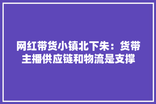 网红带货小镇北下朱：货带主播供应链和物流是支撑,北下关小学。