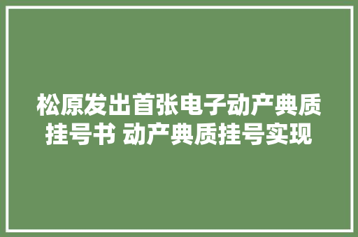 松原发出首张电子动产典质挂号书 动产典质挂号实现“零跑动”