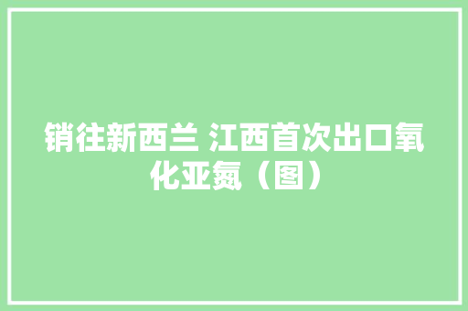 销往新西兰 江西首次出口氧化亚氮（图）