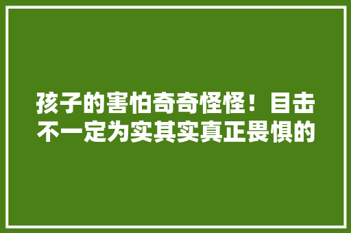 孩子的害怕奇奇怪怪！目击不一定为实其实真正畏惧的是这5件事