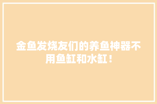 金鱼发烧友们的养鱼神器不用鱼缸和水缸！