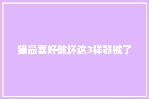 猫最喜好破坏这3样器械了