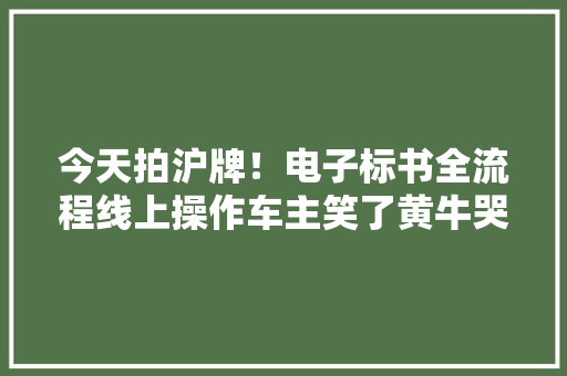 今天拍沪牌！电子标书全流程线上操作车主笑了黄牛哭了