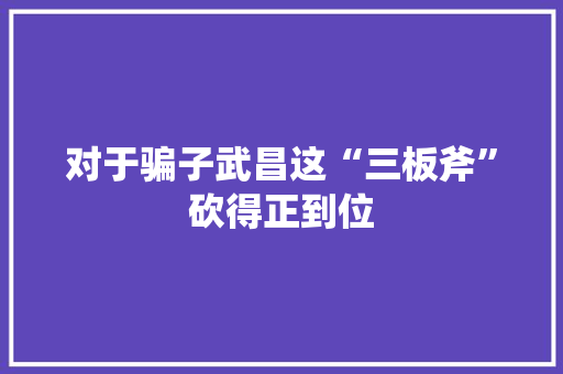 对于骗子武昌这“三板斧”砍得正到位