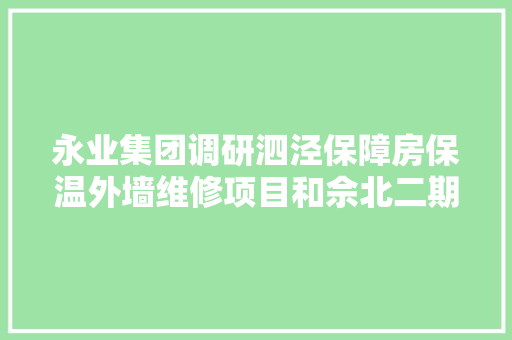 永业集团调研泗泾保障房保温外墙维修项目和佘北二期保障房项目