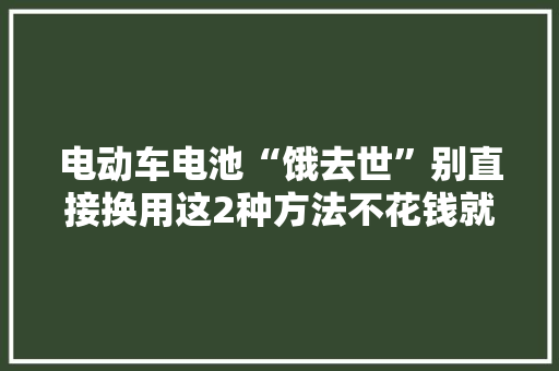电动车电池“饿去世”别直接换用这2种方法不花钱就能激活电池,电池柜厂家。