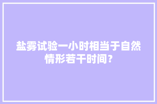 盐雾试验一小时相当于自然情形若干时间？,盐雾实验箱。