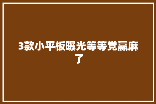3款小平板曝光等等党赢麻了